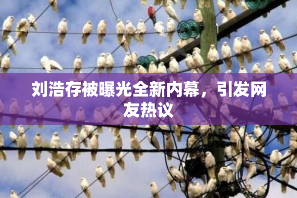 刘浩存被曝光全新内幕，引发网友热议