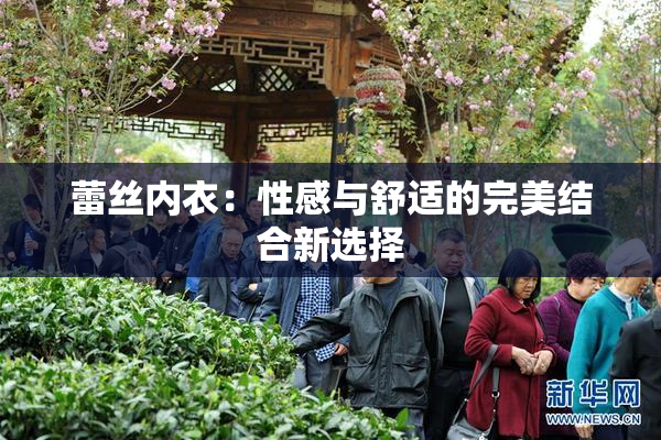蕾丝内衣：性感与舒适的完美结合新选择