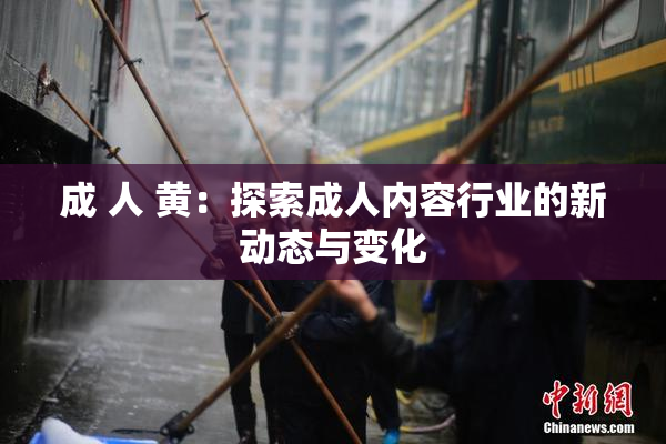 成 人 黄：探索成人内容行业的新动态与变化