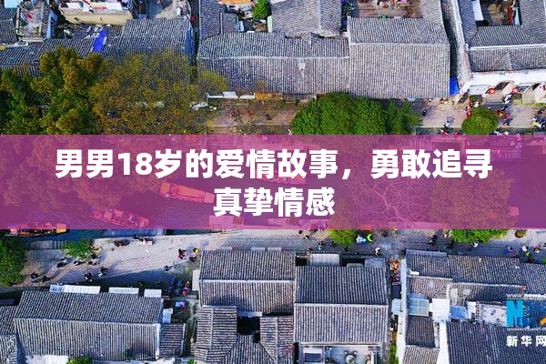 男男18岁的爱情故事，勇敢追寻真挚情感