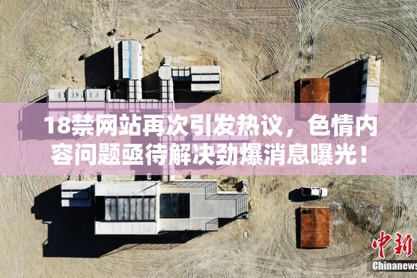 18禁网站再次引发热议，色情内容问题亟待解决劲爆消息曝光！