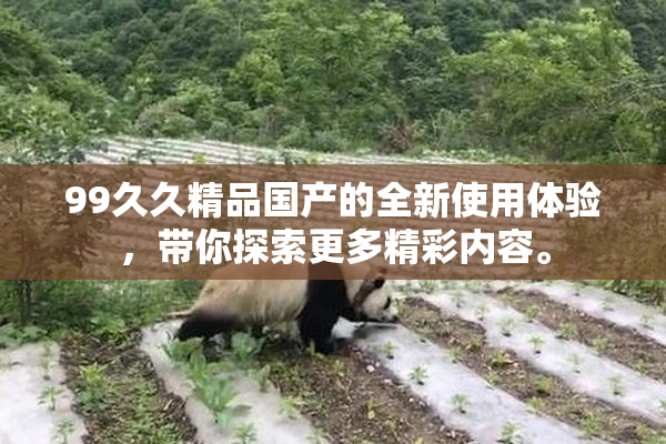 99久久精品国产的全新使用体验，带你探索更多精彩内容。
