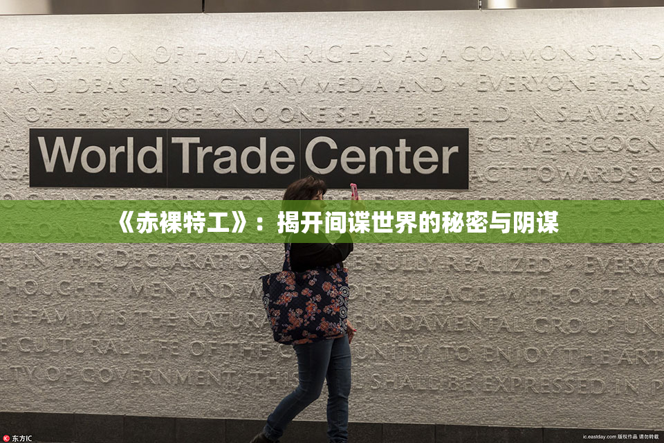 《赤裸特工》：揭开间谍世界的秘密与阴谋
