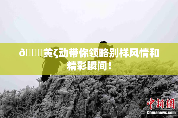 🔞黄ζ动带你领略别样风情和精彩瞬间！