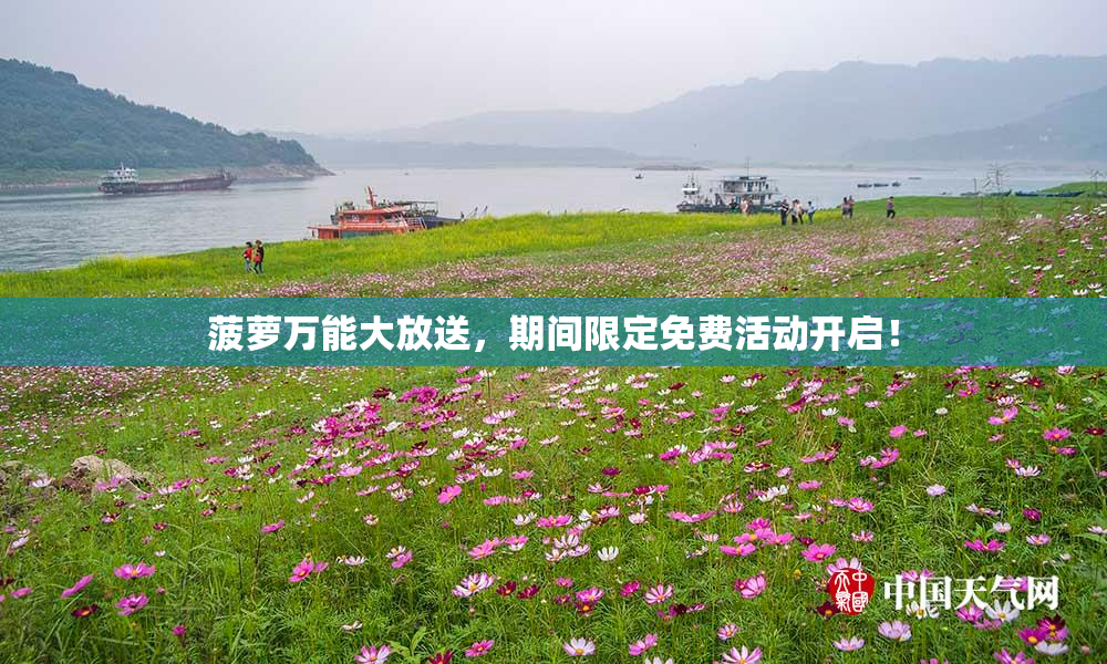 菠萝万能大放送，期间限定免费活动开启！