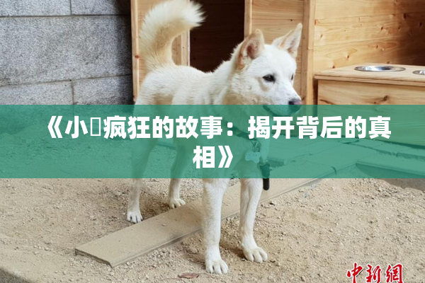 《小泬疯狂的故事：揭开背后的真相》