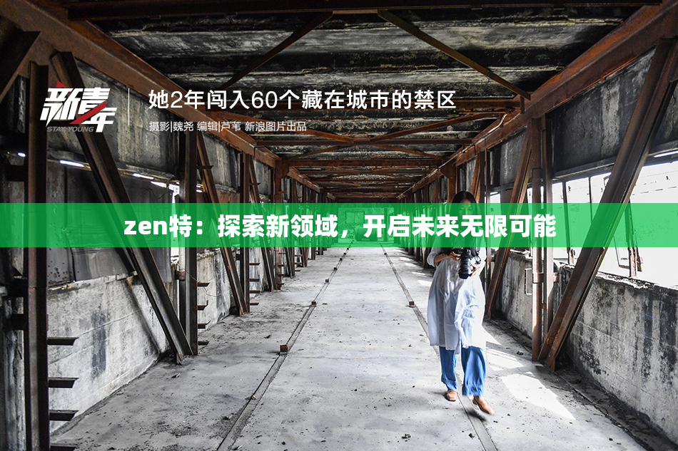 zen特：探索新领域，开启未来无限可能
