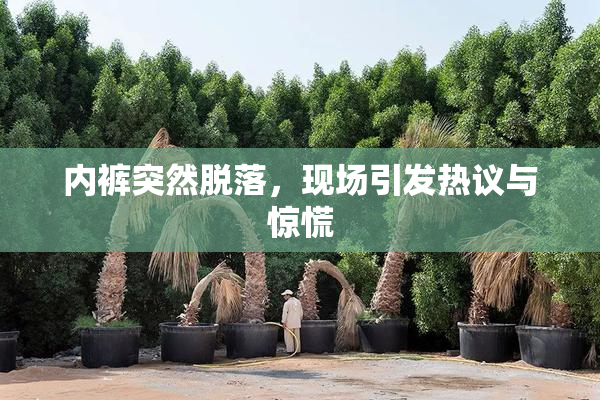 内裤突然脱落，现场引发热议与惊慌