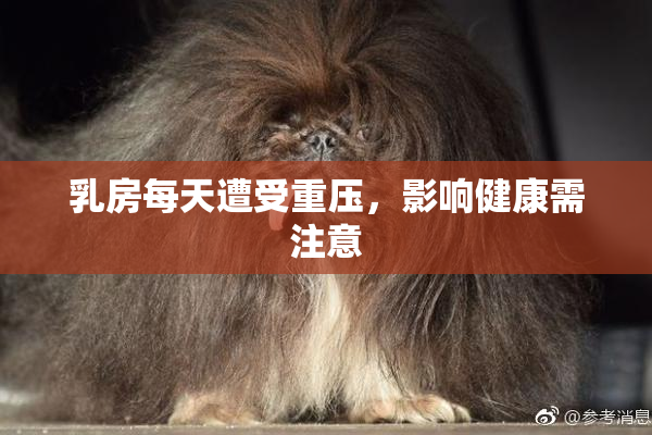 乳房每天遭受重压，影响健康需注意