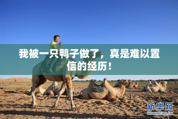 我被一只鸭子做了，真是难以置信的经历！
