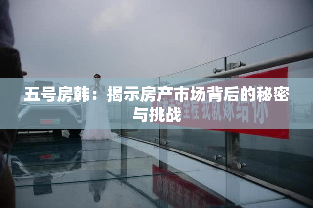 五号房韩：揭示房产市场背后的秘密与挑战