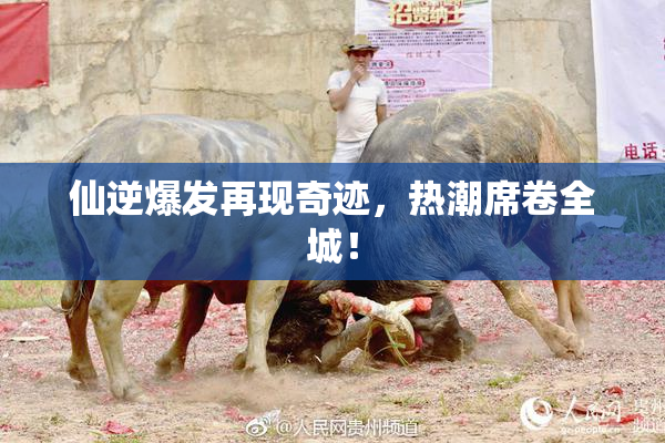 仙逆爆发再现奇迹，热潮席卷全城！