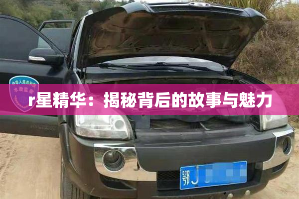 r星精华：揭秘背后的故事与魅力