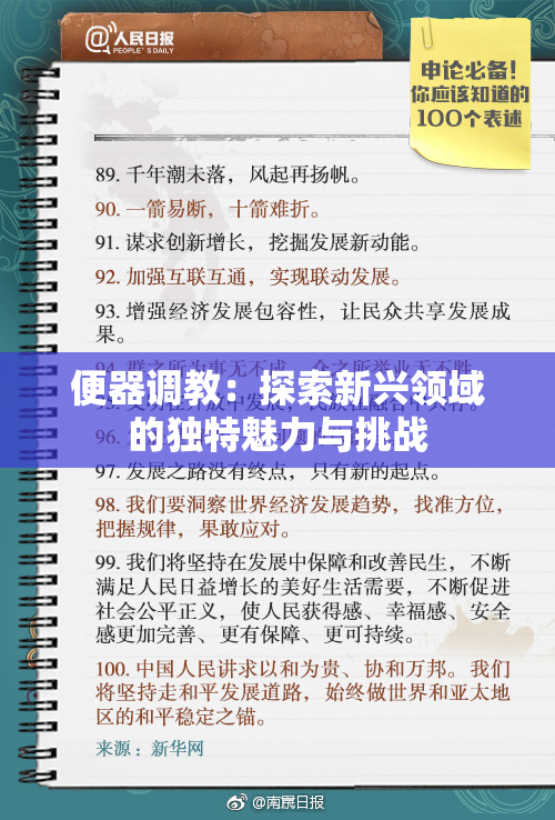 便器调教：探索新兴领域的独特魅力与挑战