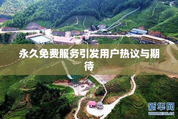 永久免费服务引发用户热议与期待