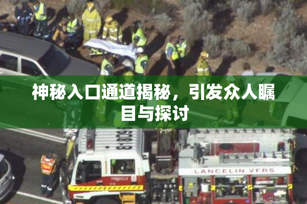 神秘入口通道揭秘，引发众人瞩目与探讨