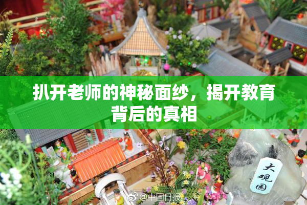 扒开老师的神秘面纱，揭开教育背后的真相
