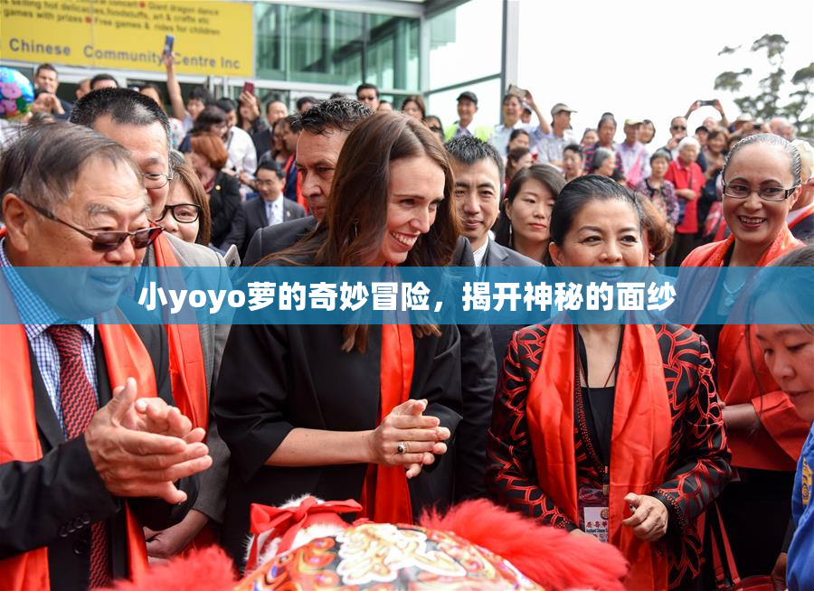 小yoyo萝的奇妙冒险，揭开神秘的面纱
