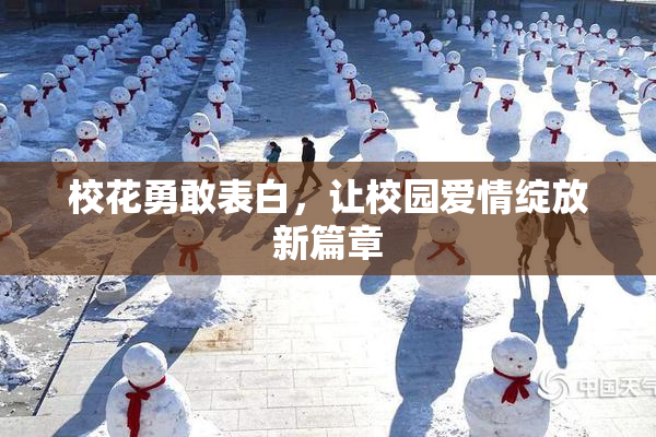 校花勇敢表白，让校园爱情绽放新篇章