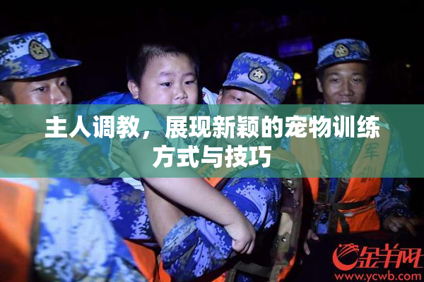 主人调教，展现新颖的宠物训练方式与技巧