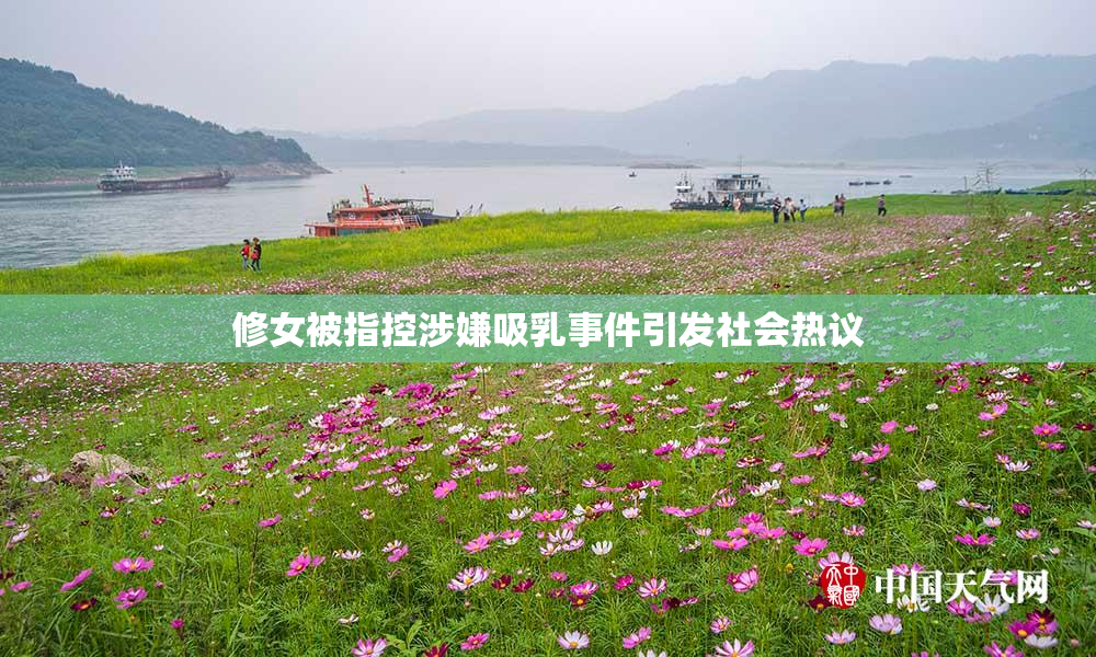 修女被指控涉嫌吸乳事件引发社会热议