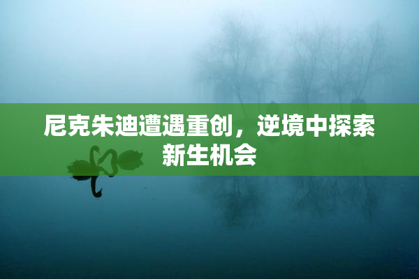 尼克朱迪遭遇重创，逆境中探索新生机会