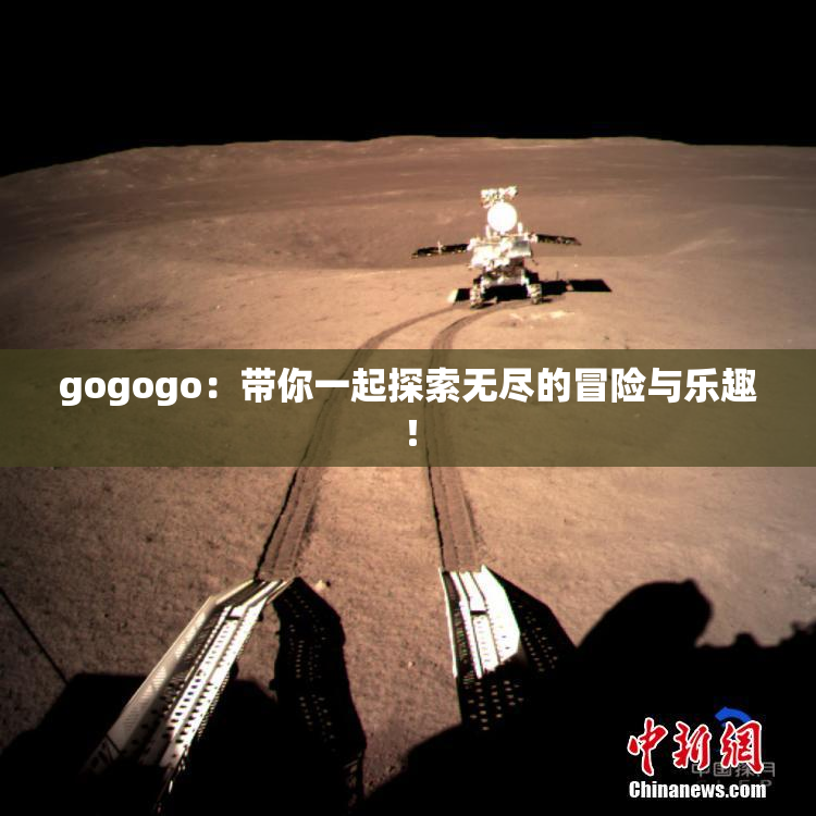 gogogo：带你一起探索无尽的冒险与乐趣！