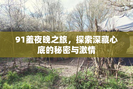 91羞夜晚之旅，探索深藏心底的秘密与激情