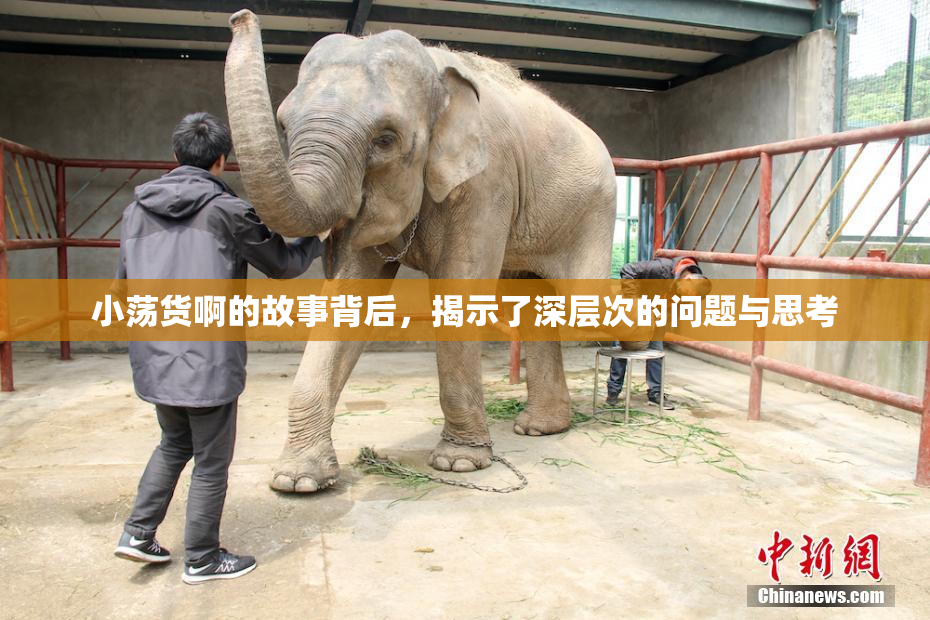 小荡货啊的故事背后，揭示了深层次的问题与思考