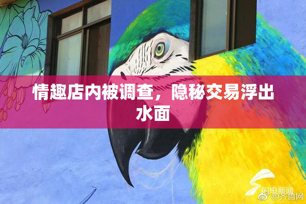 情趣店内被调查，隐秘交易浮出水面