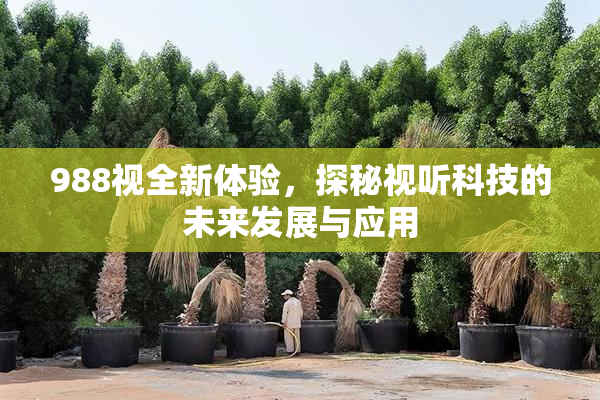 988视全新体验，探秘视听科技的未来发展与应用
