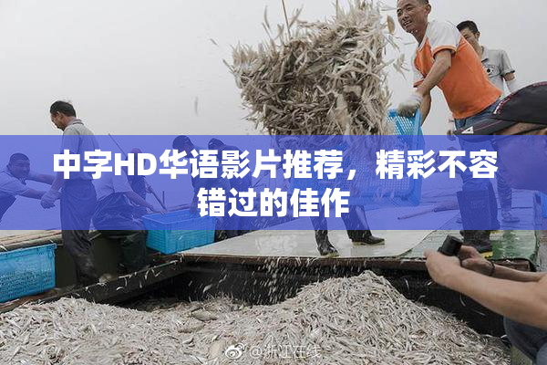 中字HD华语影片推荐，精彩不容错过的佳作