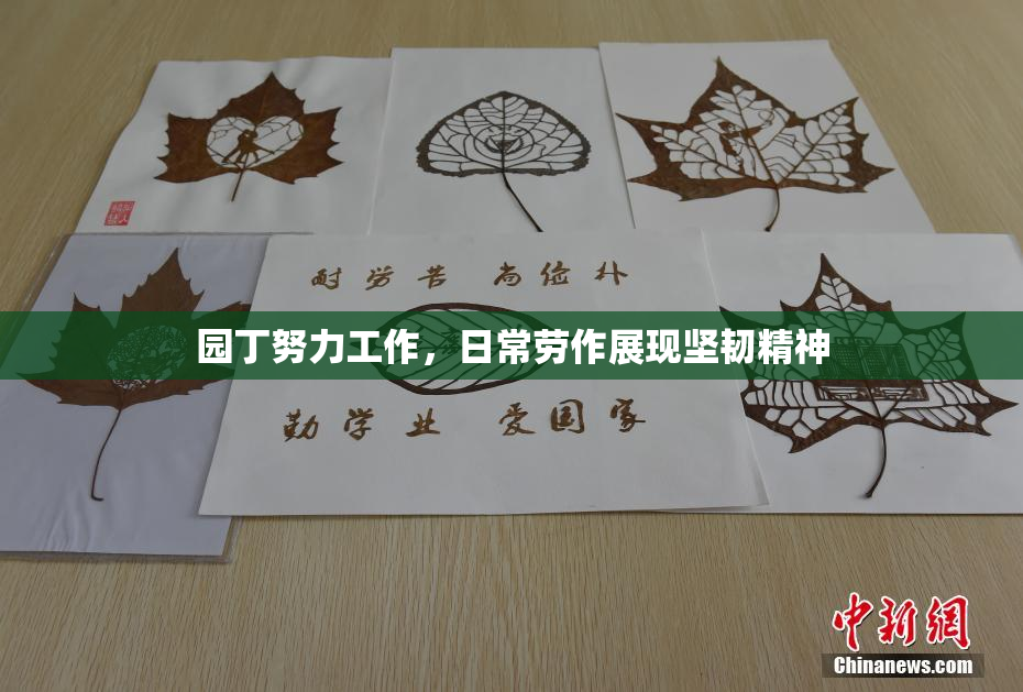 园丁努力工作，日常劳作展现坚韧精神