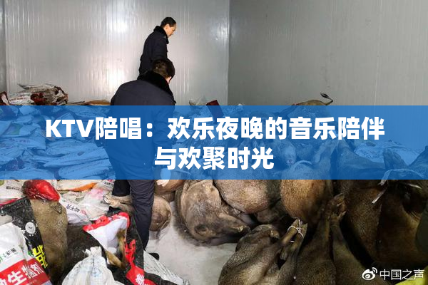 KTV陪唱：欢乐夜晚的音乐陪伴与欢聚时光