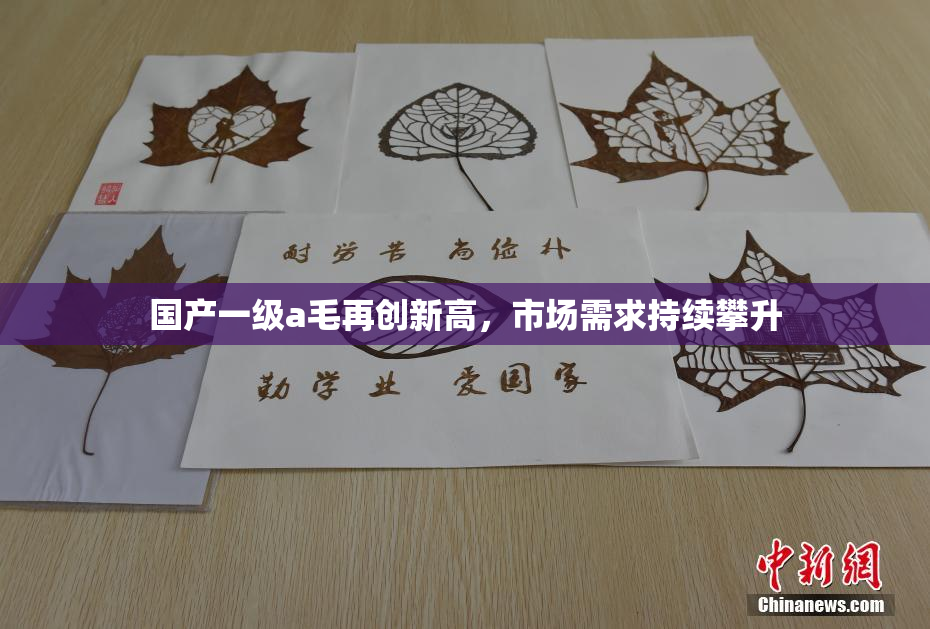 国产一级a毛再创新高，市场需求持续攀升