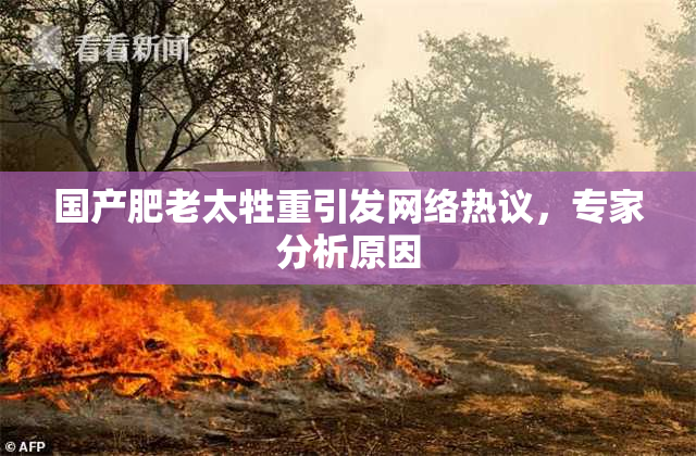 国产肥老太牲重引发网络热议，专家分析原因
