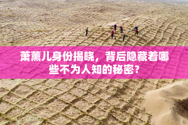 萧薰儿身份揭晓，背后隐藏着哪些不为人知的秘密？