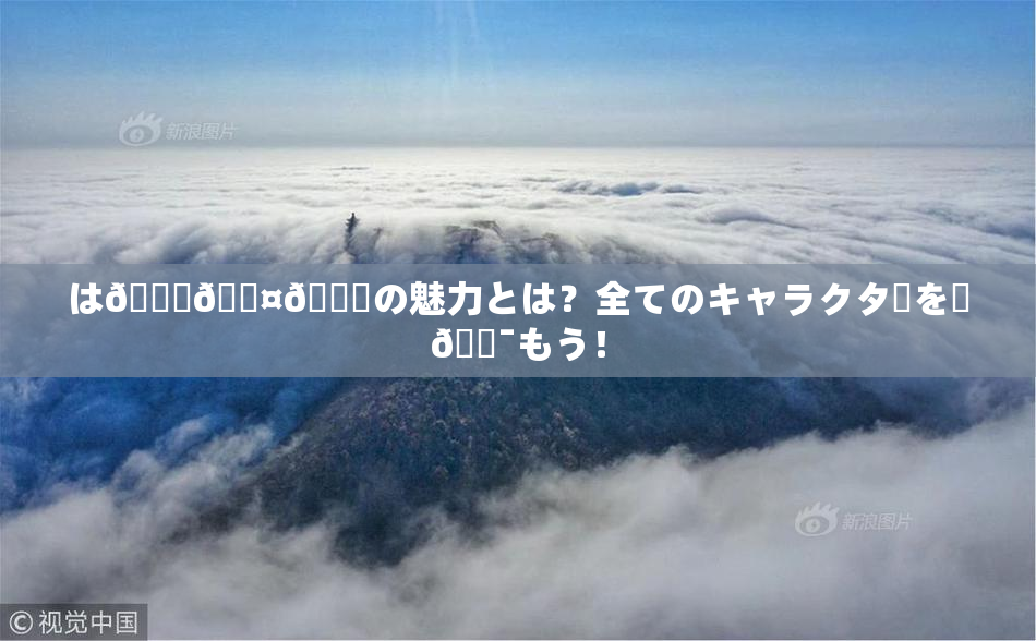 は🍑🖤🌃の魅力とは？全てのキャラクターを楽🔯もう！