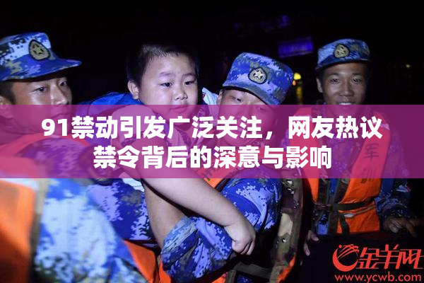 91禁动引发广泛关注，网友热议禁令背后的深意与影响