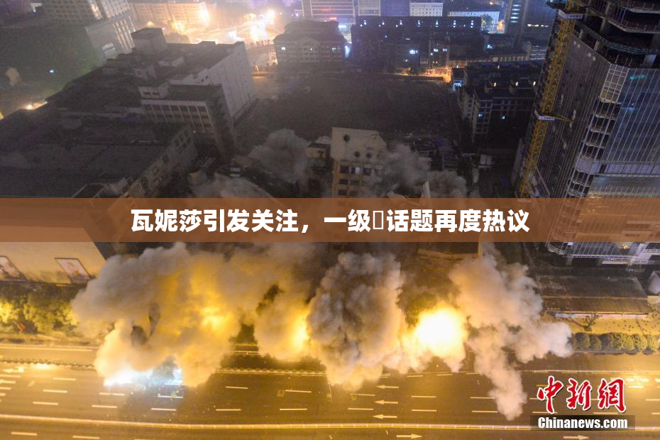 瓦妮莎引发关注，一级婬话题再度热议