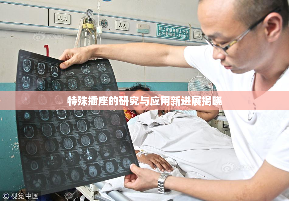 特殊插座的研究与应用新进展揭晓