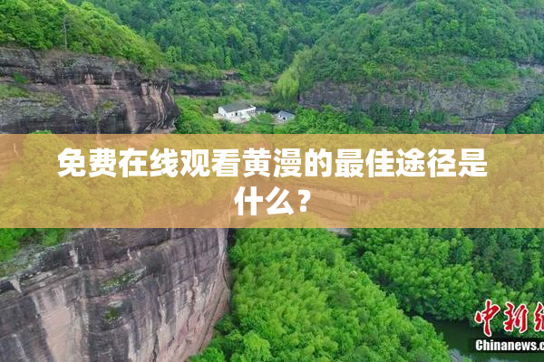免费在线观看黄漫的最佳途径是什么？