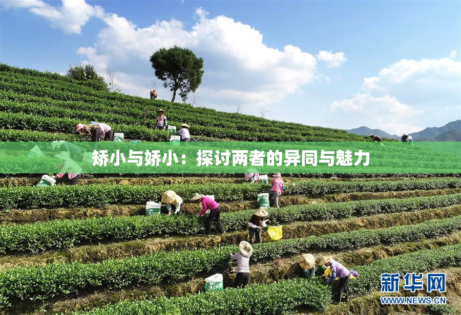 矫小与娇小：探讨两者的异同与魅力
