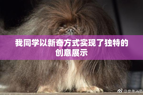 我同学以新奇方式实现了独特的创意展示