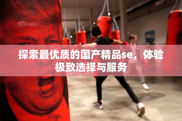 探索最优质的国产精品se，体验极致选择与服务