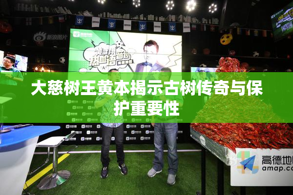 大慈树王黄本揭示古树传奇与保护重要性