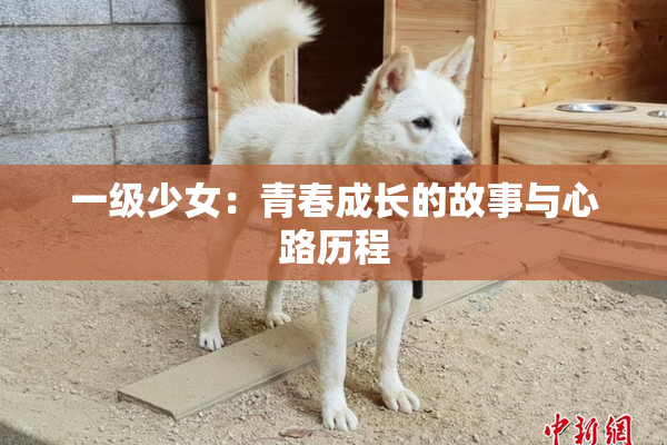 一级少女：青春成长的故事与心路历程