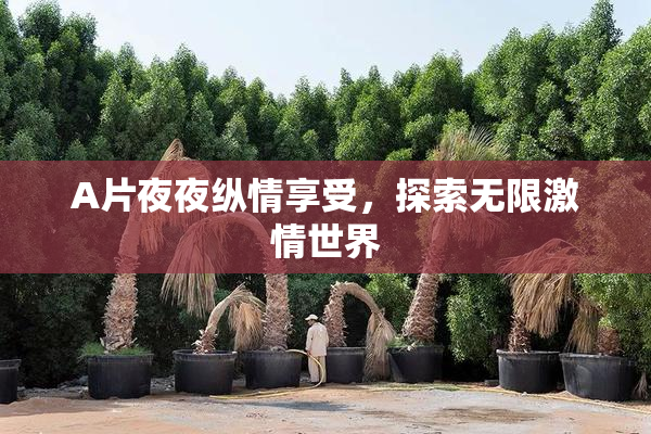 A片夜夜纵情享受，探索无限激情世界