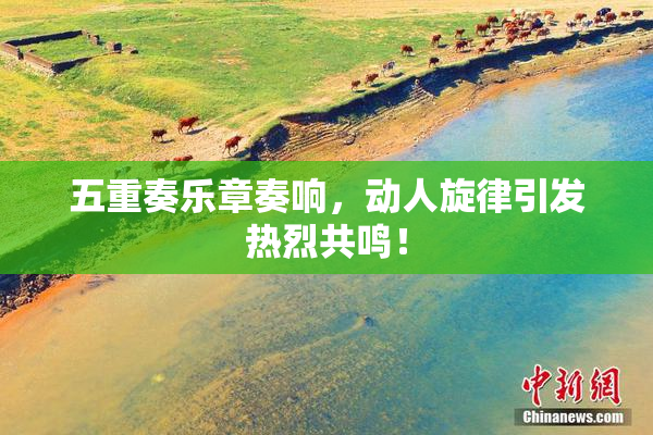 五重奏乐章奏响，动人旋律引发热烈共鸣！