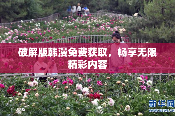 破解版韩漫免费获取，畅享无限精彩内容